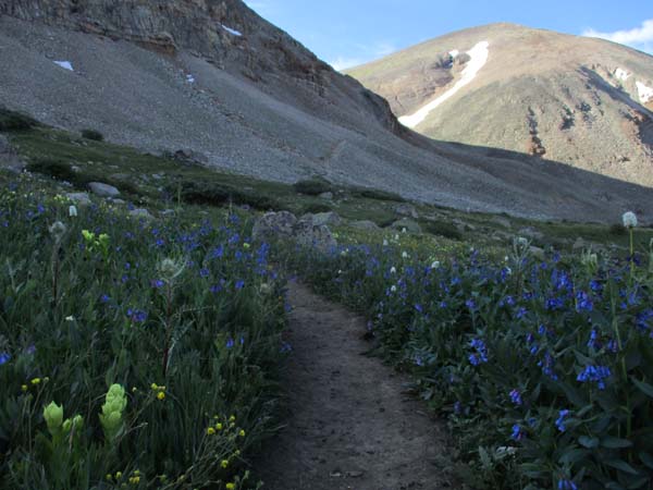 The lower portion of the trail after sunrise