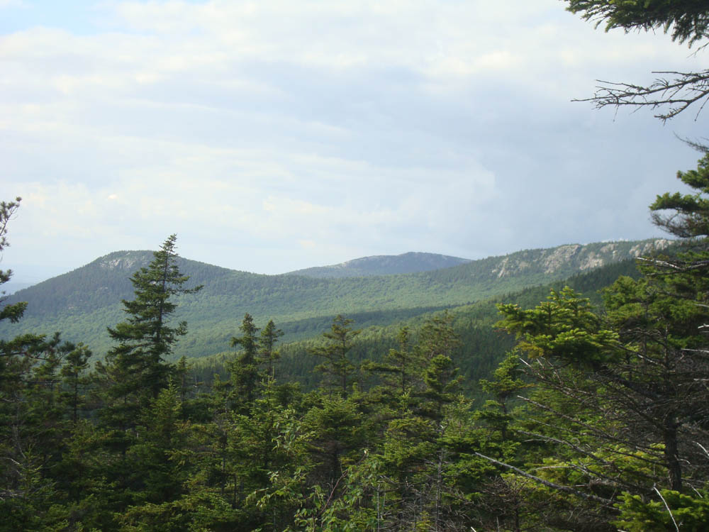 Blueberry Mountain - New Hampshire - July 1, 2011 Hike Trip Report ...