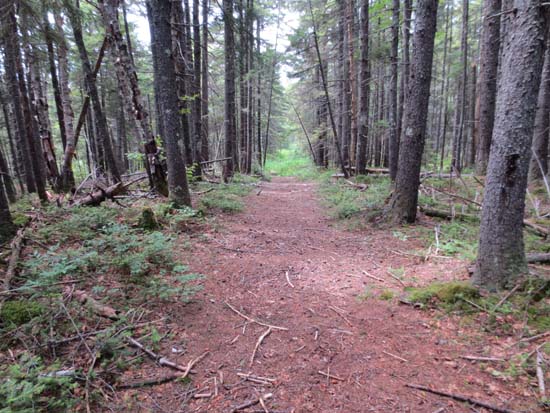 Duck Pond Mountain - New Hampshire - July 7, 2012 FranklinSites.com ...