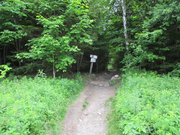 The Avalon Trail trailhead next to the train station