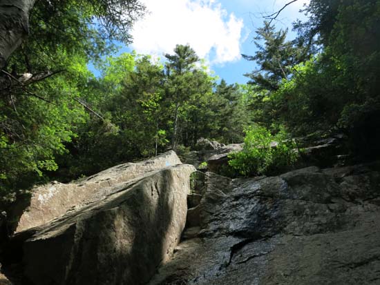 Mt. Flume, Mt. Liberty - New Hampshire - June 21, 2014 Hike Trip Report ...