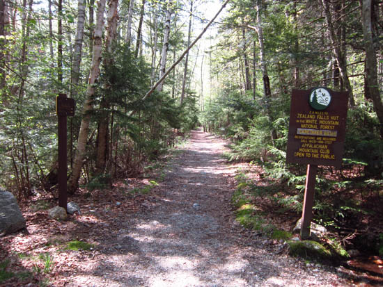 Zealand Mountain - New Hampshire - May 20, 2012 Hike Trip Report ...